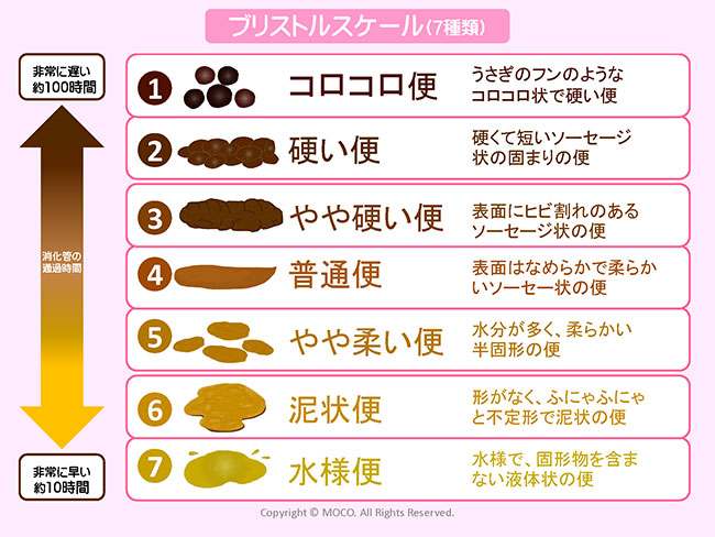 ブリストルスケール