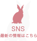 STORY 開発の想い